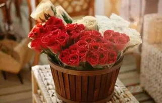 花點時間 上線兩年用戶破500萬，B輪融資引領禮品花卉銷售新潮流